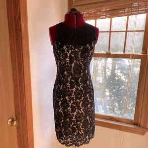 NWOT White House Black Market Sheath Black Lace Dress